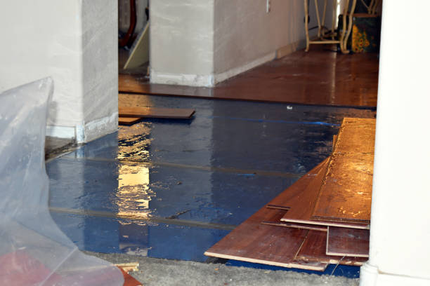 Professional Water Damage Restoration technician working in Highland Park, MI